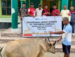 Idul Adha 1445 H, Pertamina Patra Niaga Regional Papua Maluku Salurkan 128 Hewan Kurban