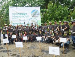 Jaga Ekosistem Pesisir Papua, Kilang Kasim Tanam 2000 Pohon Mangrove