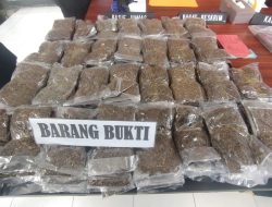 Tangkap Pemilik 5,4 Kg Ganja, Kapolresta Sorong Kota Dalami Keterlibatan Oknum Petugas Bandara Sentani