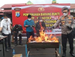 Polresta Sorong Kota Musnahkan 6,5 Kg Ganja dari Jayapura
