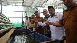 KPwBI Papua Barat Resmikan Green House dan Implementasi Digital Farming di Ponpes Roudlotul Khuffadz