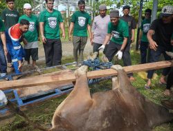 Pererat Silaturahmi, Kilang Kasim Distribusikan Hewan Kurban ke Masyarakat