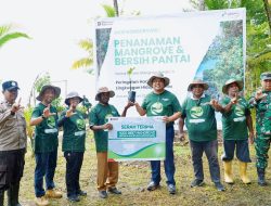Kilang Kasim Tanam 1000 Pohon Mangrove dan Bersih-Bersih Pantai Wawenagu