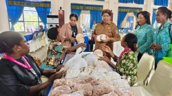 Dinas Sosial P3A PBD Gelar Pelatihan Kerajinan Kerang di Raja Ampat, Dorong Ekonomi Kreatif Perempuan Pesisir