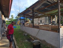 Pemerintah Serahkan Bantuan Kandang dan Ternak Babi untuk Komunitas Pegunungan Tengah di Sorong