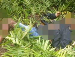 Dua Nakes Tewas Diserang OTK di Tambrauw, Dua Lainnya Selamat