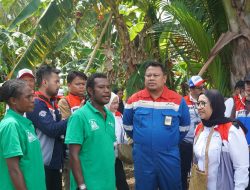 Dari Kampung Malabam, Harapan Pangan Mandiri Tumbuh Bersama Pertamina