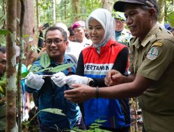 Kilang Kasim Perkuat Jejak Hijau di Tanah Papua