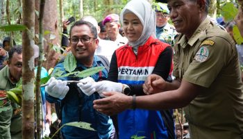 Kilang Kasim Perkuat Jejak Hijau di Tanah Papua