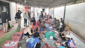 Pertamina Patra Niaga Papua Maluku Salurkan 134 Hewan Kurban untuk Masyarakat