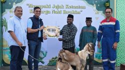 Idul Adha 1447 H, Pertamina EP Papua Field Salurkan 9 Ekor Sapi dan 3 Kambing