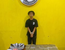 Polresta Sorong Kota Gagalkan Penyelundupan 453 Gram Ganja dari Jayapura