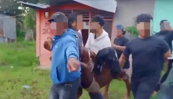 Dua Buronan Penikaman Satpam Hotel di Sorong Ditangkap