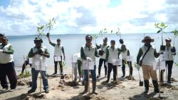 Pertamina Kilang Kasim Hijaukan Pesisir Seget