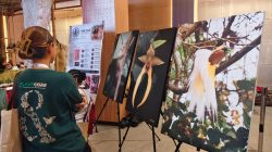 Wamenbud Giring Ganesha Buka Apresiasi Budaya Domberay, Semangatkan Pemuda Adat Jaga Warisan Leluhur