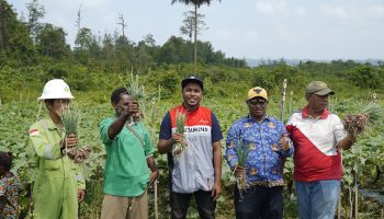 Ubah Tanah Keras Jadi Lumbung Pangan, Pertamina RU Kasim Sukses Dampingi Warga Klayas Panen Raya