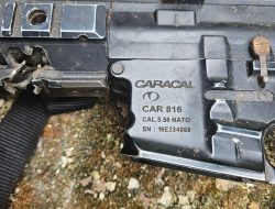 TNI Temukan Senjata Caracal dan 17 Amunisi yang Dirampas OPM di Maybrat