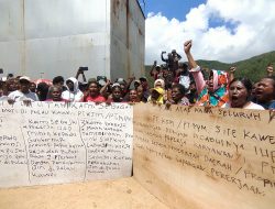 Pasca Pencabutan IUP, 80 Persen Karyawan Orang Asli Papua di PT KSM Kehilangan Pekerjaan