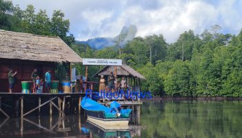 Saupon Adventure Village: Ketika Alam dan Masyarakat Menemukan Harmoni di Jantung Raja Ampat
