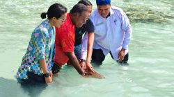 Gubernur PBD Bangga, Konservasi Hiu Belimbing Perkuat Raja Ampat sebagai Ikon Wisata Dunia