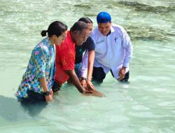 Gubernur PBD Bangga, Konservasi Hiu Belimbing Perkuat Raja Ampat sebagai Ikon Wisata Dunia