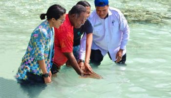 Gubernur PBD Bangga, Konservasi Hiu Belimbing Perkuat Raja Ampat sebagai Ikon Wisata Dunia