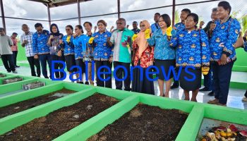 Rumah Maggot Terbesar di Tanah Papua Resmi Berdiri di Aimas, Ubah Sampah Jadi Emas Ekonomi